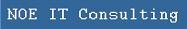 NOE IT Consulting